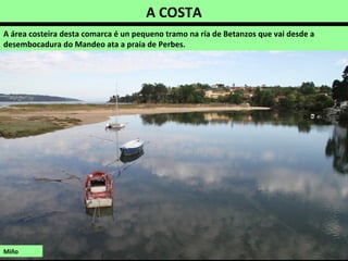 Ao pé de antiga minicentral atópase esta fervenza, con
dous saltos de de 5 e 10 m de altura.
POZO DE CASTRO RODICIO
No rego da Loba, na parroquia de Cambás (Aranga).
O río, moi diminuído polo encoro que hai máis arriba,
salva un desnivel de máis de 20 m en varios saltos e
forma un pozo circular moi profundo.
 