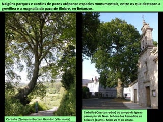 Ponte Roibeira sobre o Mendo entre Betanzos (Bravío) e Oza-Cesuras (Mondoi)
 