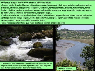 O Mendo en Betanzos, poco antes de
se xuntar co Mandeo.
 