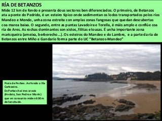 Praia de Perbes. Ao fondo a illa
Carboeira.
En Perbes hai tres areais
(Andaio, San Pedro e Marín)
que en conxunto miden 600 m
de lonxitude.
RÍA DE BETANZOS
Mide 12 km de fondo e presenta dous sectores ben diferenciados. O primeiro, de Betanzos
ata a ponte do Pedrido, é un esteiro típico onde sedimentan os lodos transportados polos ríos
Mandeo e Mendo, unha zona estreita con amplas zonas fangosas que quedan descubertas
coa marea baixa. O segundo, entre as puntas Lavadoira e Torella, é máis amplo e conflúe coa
ría de Ares. As rochas dominantes son xistos, filitas e lousas. É unha importante zona
marisqueira (ameixa, berberecho...). Os esteiros do Mandeo e do Lambre, e a parte da ría de
Betanzos entre Miño e Gandarío forma parte do LIC “Betanzos-Mandeo”
 