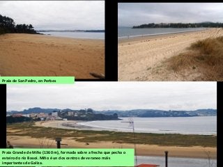 Praia de San Pedro, en Perbes
Praia Grande de Miño (1360 m), formada sobre a frecha que pecha o
esteiro do río Baxoi. Miño é un dos centros de veraneo máis
importantes de Galiza.
 
