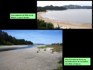 Praia de Ponte do Porco, na
desembocadura do río Lambre,
etre Miño e Paderne.
Praia pequena de Miño ou da
Ribeira, e punta Xurelos.
 