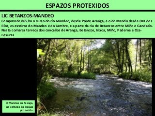 ESPAZOS PROTEXIDOS
LIC BETANZOS-MANDEO
Comprende 865 ha o curso do río Mandeo, desde Ponte Aranga, e o do Mendo desde Oza dos
Ríos, os esteiros do Mandeo e do Lambre, e a parte da ría de Betanzos entre Miño e Gandarío.
Nesta comarca terreos dos concellos de Aranga, Betanzos, Irixoa, Miño, Paderne e Oza-
Cesuras.
O Mandeo en Aranga,
no comezo do espazo
protexido.
 