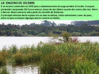 LIC ENCORO DE CECEBRE
É un encoro construído en 1976 para o abastecemento de auga potable á Coruña. O espazo
protexido comprende 522 ha no encoro, áreas da súa ribeira e parte dos cursos dos ríos Mero
e Barcés. Nesta comarca unha parte do concello de Betanzos.
O principal interese deste espazo son as aves acuáticas, tanto sedentarias como de paso,
entre as que se atopan algungas pouco comúns en Galiza.
 