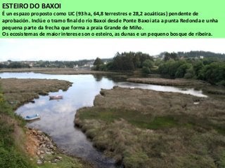 ESTEIRO DO BAXOI
É un espazo proposto como LIC (93 ha, 64,8 terrestres e 28,2 acuáticas) pendente de
aprobación. Inclúe o tramo final do río Baxoi desde Ponte Baxoi ata a punta Redonda e unha
pequena parte da frecha que forma a praia Grande de Miño.
Os ecosistemas de maior interese son o esteiro, as dunas e un pequeno bosque de ribeira.
 
