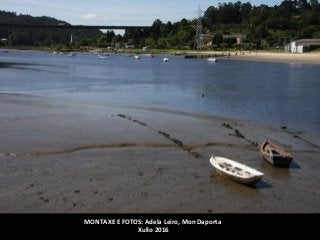 MONTAXE E FOTOS: Adela Leiro, Mon Daporta
Xullo 2016
 