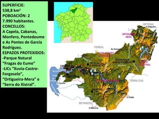 SUPERFICIE:
538,8 km2
POBOACIÓN: 25.337
habitantes (2014).
CONCELLOS:
A Capela, Cabanas,
Monfero, Pontedeume
e As Pontes de García
Rodríguez.
ESPAZOS PROTEXIDOS:
-Parque Natural
“Fragas do Eume”
-LICs “Xuvia-Castro-
Forgoselo”,
“Ortigueira-Mera” e
“Serra do Xistral”.
 