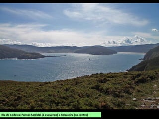Ría de Cedeira: Puntas Sarridal (á esquerda) e Robaleira (no centro)
 