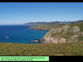 Parte exterior da ría de Cedeira, coa punta Chirlateira en primeiro
plano e as puntas Ardilosa e Candieira ao fondo.
 