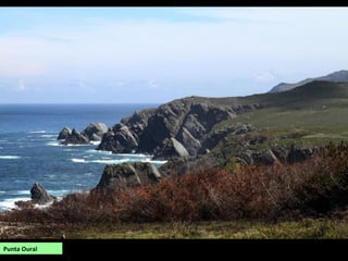 Punta Oural
 