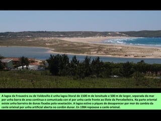 A lagoa da Frouxeira ou de Valdoviño é unha lagoa litoral de 1500 m de lonxitude e 500 m de largor, separada do mar
por unha barra de area contínua e comunicada con el por unha canle fronte ao illote da Percebelleira. Na parte oriental
existe unha barreira de dunas fixadas pola vexetación. A lagoa estivo a piques de desaparecer por mor do cambio da
canle orixinal por unha artificial aberta no cordón dunar. En 1984 repúxose a canle orixinal.
 