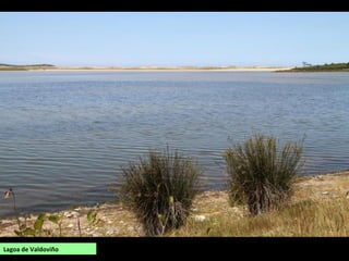 Lagoa de Valdoviño
 