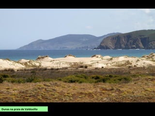 Dunas na praia de Valdoviño
 