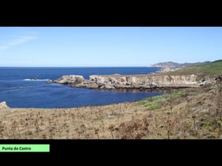 Punta do Castro
 