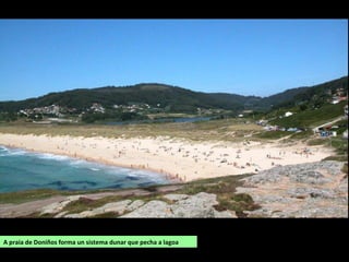 A praia de Doniños forma un sistema dunar que pecha a lagoa
 