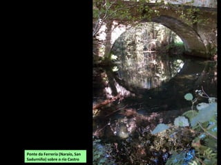 Ponte da Ferrería (Naraío, San
Sadurniño) sobre o río Castro
 