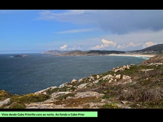 Vista desde Cabo Prioriño cara ao norte. Ao fondo o Cabo Prior
 