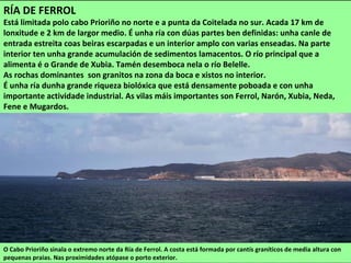 O Cabo Prioriño sinala o extremo norte da Ría de Ferrol. A costa está formada por cantís graníticos de media altura con
pequenas praias. Nas proximidades atópase o porto exterior.
RÍA DE FERROL
Está limitada polo cabo Prioriño no norte e a punta da Coitelada no sur. Acada 17 km de
lonxitude e 2 km de largor medio. É unha ría con dúas partes ben definidas: unha canle de
entrada estreita coas beiras escarpadas e un interior amplo con varias enseadas. Na parte
interior ten unha grande acumulación de sedimentos lamacentos. O río principal que a
alimenta é o Grande de Xubia. Tamén desemboca nela o río Belelle.
As rochas dominantes son granitos na zona da boca e xistos no interior.
É unha ría dunha grande riqueza biolóxica que está densamente poboada e con unha
importante actividade industrial. As vilas máis importantes son Ferrol, Narón, Xubia, Neda,
Fene e Mugardos.
 