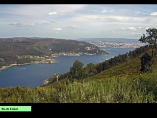 Ría de Ferrol
 