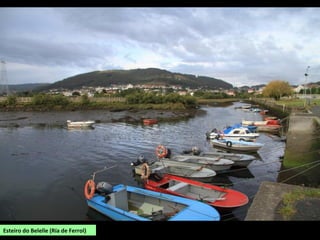 Esteiro do Belelle (Ría de Ferrol)
 