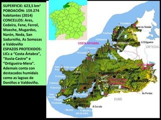 SUPERFICIE: 623,5 km2
POBOACIÓN: 159.274
habitantes (2014)
CONCELLOS: Ares,
Cedeira, Fene, Ferrol,
Moeche, Mugardos,
Narón, Neda, San
Sadurniño, As Somozas
e Valdoviño
ESPAZOS PROTEXIDOS:
LICs a “Costa Ártabra”,
“Xuvia-Castro” e
“Ortigueira-Mera”.
Ademais conta con
destacados humidais
como as lagoas de
Doniños e Valdoviño.
 