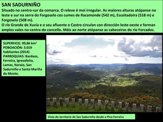 SUPERFICIE: 99,86 km2
POBOACIÓN: 3.019
habitantes (2014)
PARROQUIAS: Bardaos,
Ferreira, Igrexafeita,
Lamas, Naraío, San
Sadurniño e Santa Mariña
do Monte.
Vista do territorio de San Sadurniño desde o Pico Ferreira
SAN SADURNIÑO
Situado no centro-sur da comarca. O releve é moi irregular. As maiores alturas atópanse no
leste e sur na serra do Forgoselo cos cumes de Racamonde (542 m), Escoitadoira (518 m) e
Forgoselo (508 m).
O río Grande de Xuvia e o seu afluente o Castro circulan con dirección leste-oeste e forman
amplos vales no centro do concello. Máis ao norte atópanse as cabeceiras do río Forcados.
 