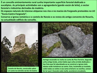 Sartego excavado na rocha no cume do Pico Ferreira. Segundo
unha antiga lenda, antes había aquí unha ermida dedicada a
San Paio que foi abandoada ao se construír a igrexa máis
abaixo onde instalaron ao santo. Este, incómodo co traslado,
subía todas as noites á súa cama orixinal e os veciños, cansos
de ter que ir buscalo cada mañá, acordaron encadealo.
É un concello eminentemente rural cunha importante superficie forestal dedicada a
eucaliptos. As principais actividades son a agrogandaría (gando vacún de leite), o sector
forestal e industrias derivadas da madeira.
Os espazos naturais de interese atópanse nos ríos e no macizo do Forgoselo protexidos no LIC
“Xuvia-Castro-Forgoselo”.
Conserva a igrexa románica e o castelo de Naraío e os restos do antigo convento do Rosario,
na actualidade edificio do concello.
Castelo de Naraío, construído sobre
un cume no estreito val do río Castro
 