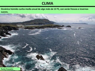 CLIMA
Oceánico húmido cunha media anual de algo máis de 13 ºC, con verán frescos e invernos
suaves.
Punta Frouxeira
 
