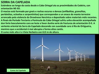 Cumes da Capelada
SERRA DA CAPELADA
Esténdese ao longo da costa desde o Cabo Ortegal ata as proximidades de Cedeira, con
orientación NE-SO.
O macizo está formado por gneis e rochas escuras e densas (anfibolitas, granulitas,
peridotitas, ecloxitas e serpentinitas) que corresponden a un anaco do manto terrestre
arrancado pola violencia da Oroxénese Hercínica e depositado sobre materiais máis recentes.
A finais do Periodo Terciario a Península do Cabo Ortegal sufríu unha elevación acompañada
dun forte basculamento cara ao leste a favor dunha serie de fracturas de orientación O-E. A
vertente oriental da Serra da Capelada descende con suavidade cara á Ría de Ortigueira,
mentres que a occidental é moi abrupta e forma altos cantís.
O cume máis alto é o Vixía Herbeira con 613 m de altura.
 
