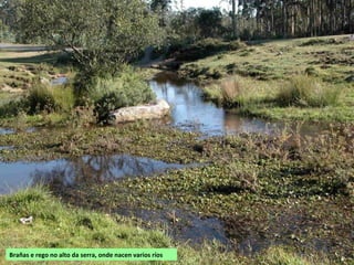 Brañas e rego no alto da serra, onde nacen varios ríos
 