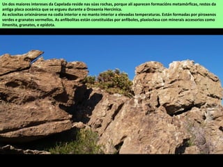 Un dos maiores intereses da Capelada reside nas súas rochas, porque alí aparecen formacións metamórficas, restos da
antiga placa oceánica que se ergueu durante a Oroxenia Hercínica.
As ecloxitas orixináronse na codia interior e no manto interior a elevadas temperaturas. Están formadas por piroxenos
verdes e granates vermellos. As anfibolitas están constituídas por anfíboles, plaxioclasa con minerais accesorios como
ilmenita, granates, e epidota.
 