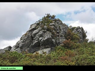 Cristas de cuarcitas
 