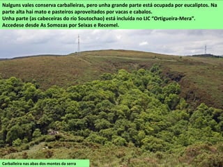 Carballeira nas abas dos montes da serra
Nalguns vales conserva carballeiras, pero unha grande parte está ocupada por eucaliptos. Na
parte alta hai mato e pasteiros aproveitados por vacas e cabalos.
Unha parte (as cabeceiras do río Soutochao) está incluída no LIC “Ortigueira-Mera”.
Accedese desde As Somozas por Seixas e Recemel.
 