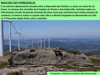 O Forgoselo e a Ría de Ferrol desde o Alto de Racamonde
MACIZO DO FORGOSELO
É un extenso aplanamento situado entre a Depresión das Pontes e a costa, ao norte do río
Eume, en terreos dos concellos de A Capela, As Pontes e San Sadurniño. Aséntase sobre un
afloramento circular de granito intrusivo de dúas micas que contrasta coas rochas xistosas da
contorna. O relevo é suave e o punto máis alto é o Monte Forgoselo ou Racamonde con 542
m. É frecuente atopar bolos, pías e cacholas.
 