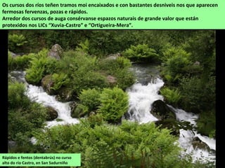 Os cursos dos ríos teñen tramos moi encaixados e con bastantes desniveis nos que aparecen
fermosas fervenzas, pozas e rápidos.
Arredor dos cursos de auga consérvanse espazos naturais de grande valor que están
protexidos nos LICs “Xuvia-Castro” e “Ortigueira-Mera”.
Rápidos e fentos (dentabrús) no curso
alto do río Castro, en San Sadurniño
 