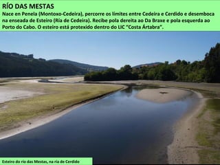 Esteiro do río das Mestas, na ría de Cerdido
RÍO DAS MESTAS
Nace en Penela (Montoxo-Cedeira), percorre os límites entre Cedeira e Cerdido e desemboca
na enseada de Esteiro (Ría de Cedeira). Recibe pola dereita ao Da Braxe e pola esquerda ao
Porto do Cabo. O esteiro está protexido dentro do LIC “Costa Ártabra”.
 