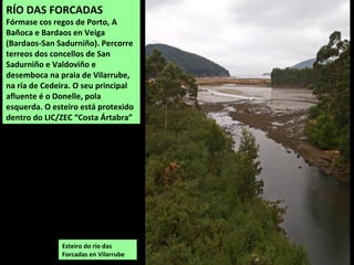 Esteiro do río das
Forcadas en Vilarrube
RÍO DAS FORCADAS
Fórmase cos regos de Porto, A
Bañoca e Bardaos en Veiga
(Bardaos-San Sadurniño). Percorre
terreos dos concellos de San
Sadurniño e Valdoviño e
desemboca na praia de Vilarrube,
na ría de Cedeira. O seu principal
afluente é o Donelle, pola
esquerda. O esteiro está protexido
dentro do LIC/ZEC “Costa Ártabra”
 