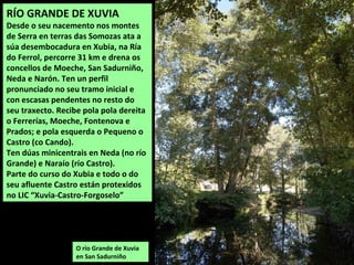 O río Grande de Xuvia
en San Sadurniño
RÍO GRANDE DE XUVIA
Desde o seu nacemento nos montes
de Serra en terras das Somozas ata a
súa desembocadura en Xubia, na Ría
do Ferrol, percorre 31 km e drena os
concellos de Moeche, San Sadurniño,
Neda e Narón. Ten un perfil
pronunciado no seu tramo inicial e
con escasas pendentes no resto do
seu traxecto. Recibe pola pola dereita
o Ferrerías, Moeche, Fontenova e
Prados; e pola esquerda o Pequeno o
Castro (co Cando).
Ten dúas minicentrais en Neda (no río
Grande) e Naraío (río Castro).
Parte do curso do Xubia e todo o do
seu afluente Castro están protexidos
no LIC “Xuvia-Castro-Forgoselo”
 