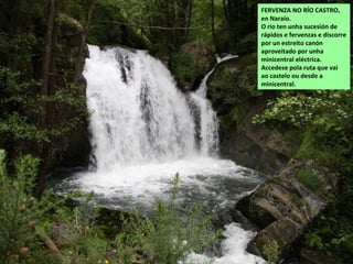 FERVENZA NO RÍO CASTRO,
en Naraío.
O río ten unha sucesión de
rápidos e fervenzas e discorre
por un estreito canón
aproveitado por unha
minicentral eléctrica.
Accedese pola ruta que vai
ao castelo ou desde a
minicentral.
 