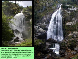 FERVENZA DO MARRAXÓN
Entre O Roxal (Anca, Neda) e O Marraxón (Fene).
O río salta un desnivel de rochas graníticas duns 45
m de altura. Nos arredores hai unha interesante
fraga con especies de ribeira, érbedos, carballos,
loureiros, pereiras bravas…
 