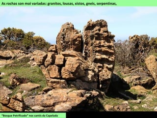 “Bosque Petrificado” nos cantís da Capelada
As rochas son moi variadas: granitos, lousas, xistos, gneis, serpentinas,
 
