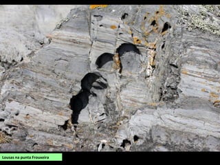 Lousas na punta Frouxeira
 