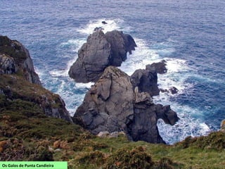 Os Galos de Punta Candieira
 