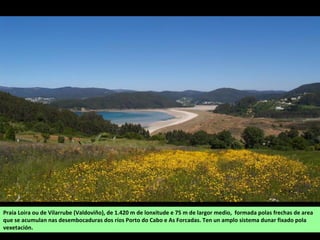 Praia Loira ou de Vilarrube (Valdoviño), de 1.420 m de lonxitude e 75 m de largor medio, formada polas frechas de area
que se acumulan nas desembocaduras dos ríos Porto do Cabo e As Forcadas. Ten un amplo sistema dunar fixado pola
vexetación.
 