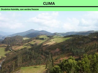 CLIMA
Oceánico húmido, con veráns frescos
 