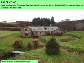 Muíño no tramo final do río Centiño (Foz)
RÍO CENTIÑO
Nace no Couto da Frouxeira (Serra do Xistral), pasa por terras de Mondoñedo e desemboca en
Vilaxoane na ría de Foz.
 