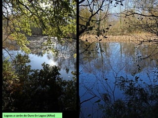 Lagoas a carón do Ouro En Lagoa (Alfoz)
 