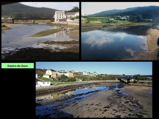DESEMBOCADURA: Ría de Fazouro (mar Cantábrico)
Esteiro do Ouro
 