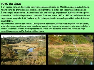 PUZO DO LAGO
É un espazo natural de grande interese ecolóxico situado en Maside, na parroquia de Lago,
nunha zona de granitos en contacto con migmatitas e xistos con xacementos filonianos.
É unha lagoa artificial de 1 ha orixinada por unha antiga explotación aurífera iniciada polos
romanos e continuada por unha compañía francesa entre 1910 e 1913. Actualmente é unha
depresión asolagada. Está declarado, de xeito provisorio, como Espazo Natural de Interese
Local (ENIL).
As plantas máis comúns son xuncos, Ceratophyllum demersum, Isoetes velatum (fento raro en Galiza),
ambroíños, oucas, espigas de auga, espadanas, salgueiros, chopos... e nas partes máis secas carballos e
rebolos. En canto á fauna o máis representativo son as aves acuáticas. Nidifican o rascón de auga,
mergullón pequeno, galiña de río e galiñola negra.
 