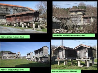 Hórreo en San Facundo (Cea)
Hórreo con pombeiro en Biduedo (Cea)
Hórreos en Rañestres (Maside)
Hórreos en Louredo (Maside)
 
